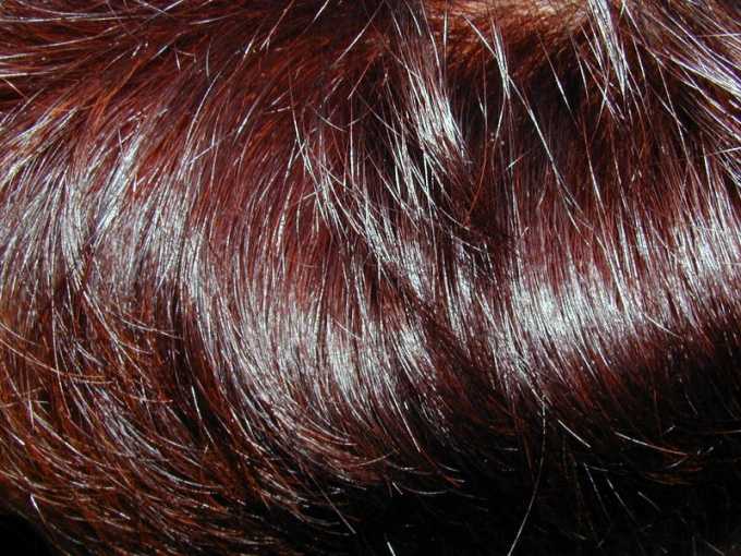 Как покрасить волосы без вреда для волос