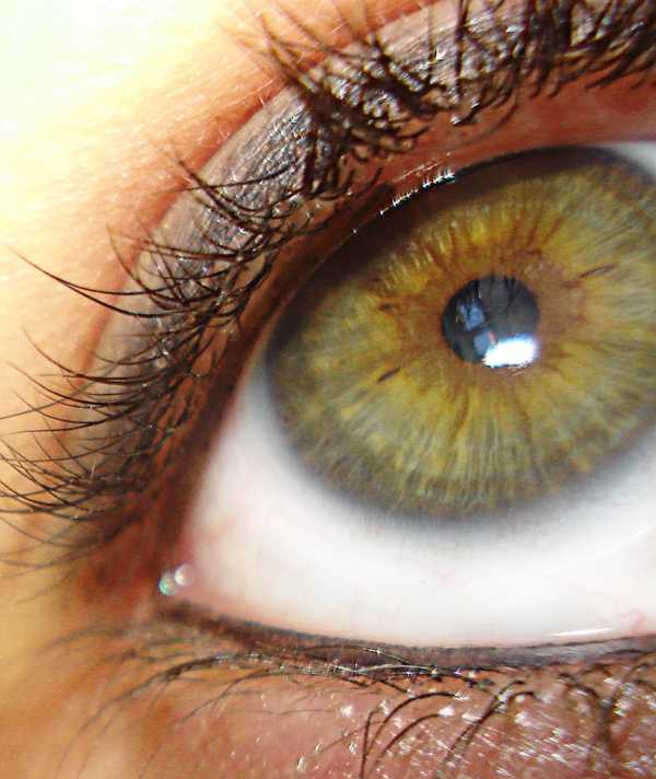 Волшебное очарование зеленых глаз можно подчеркнуть с помощью удачного макияжа