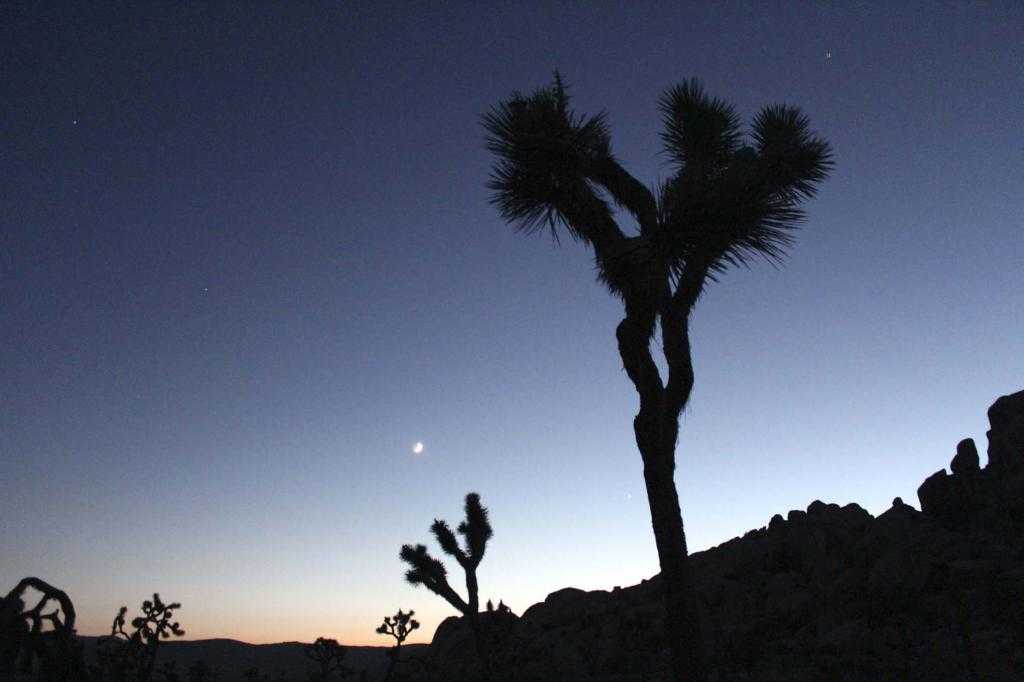 Byredo Mojave Ghost - ольфакторный образ