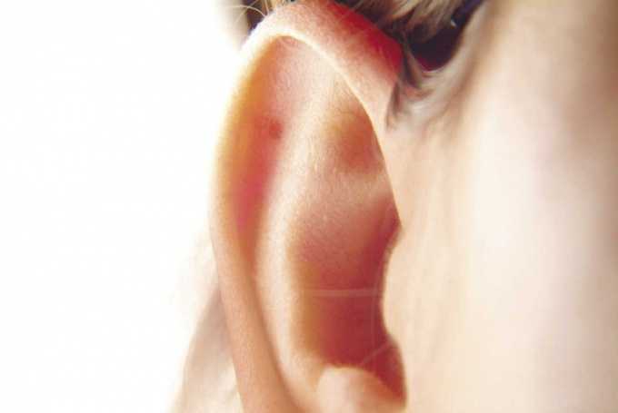 Как выровнять ухо