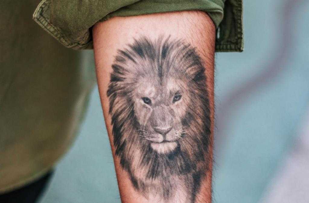 лев на руке
